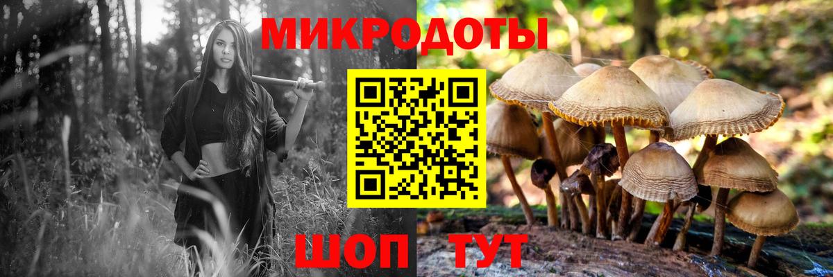 даркнет сайт  Вход с VPN  Астрахань  Псилоцибиновые грибы MAGIC MUSHROOMS  Галлюциногенные грибы Cubensis 