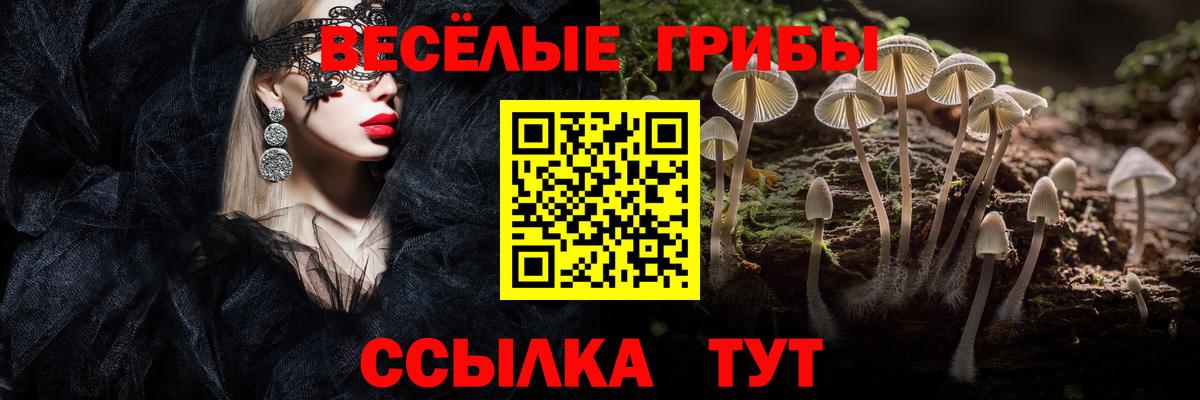 Псилоцибиновые грибы Psilocybe Астрахань